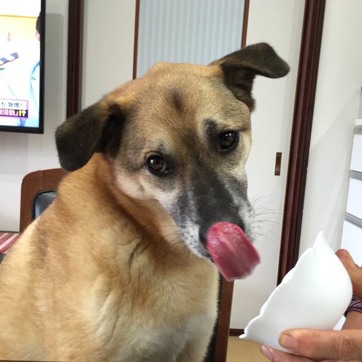 71aeaa79 5a87 4a0d a764 e175a0bf7fb4