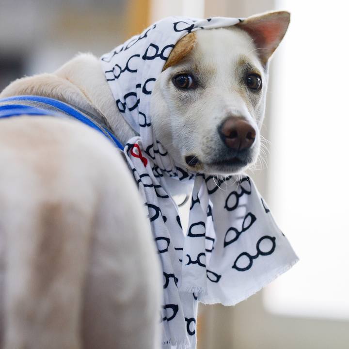 71af1ee3 af18 4747 9975 63796c77fdd4