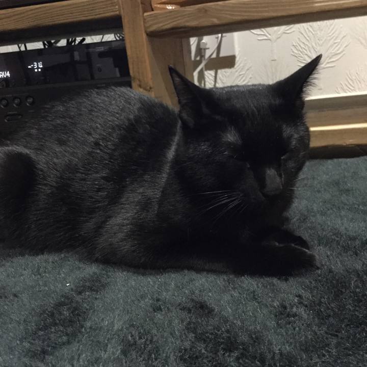 71aff419 362e 4c32 aad2 3e9b2f54d7e3