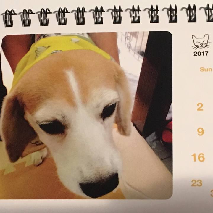 71b045d2 f9c2 4455 99ea c47746158869