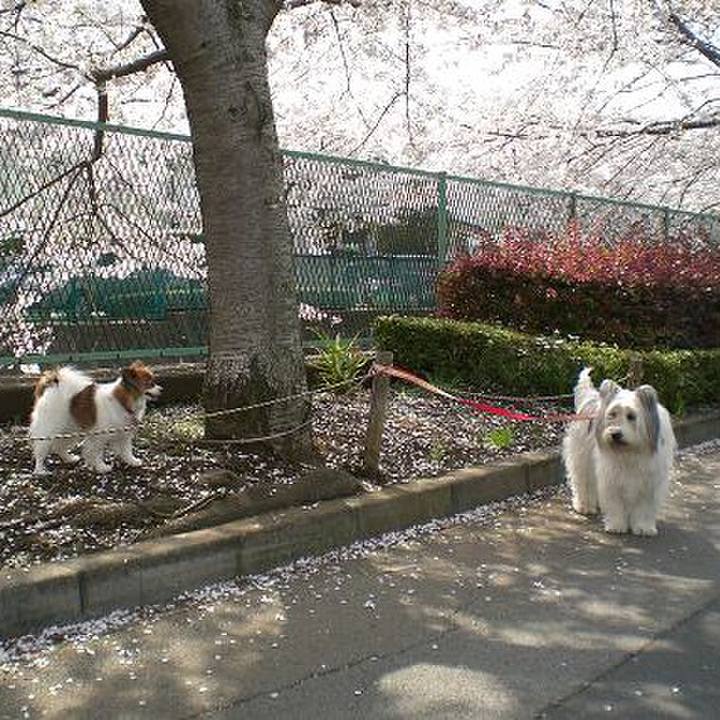 71b12270 30cf 44d6 bf0a 781528c14b26