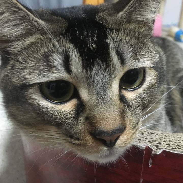 71b17c35 5db5 4ec5 8c1d 9123d1f1af6f