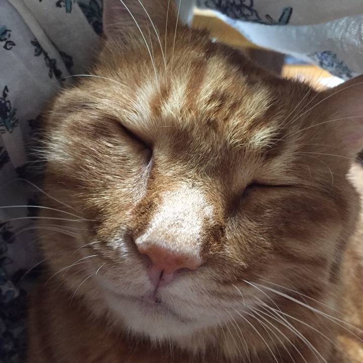 71b1a824 18bd 4753 9be7 17791a7f0ffb