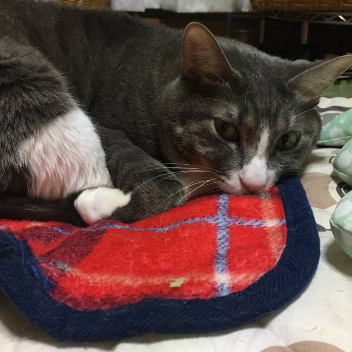 71b1b3e9 c928 46d4 995e c0b256c0adaf