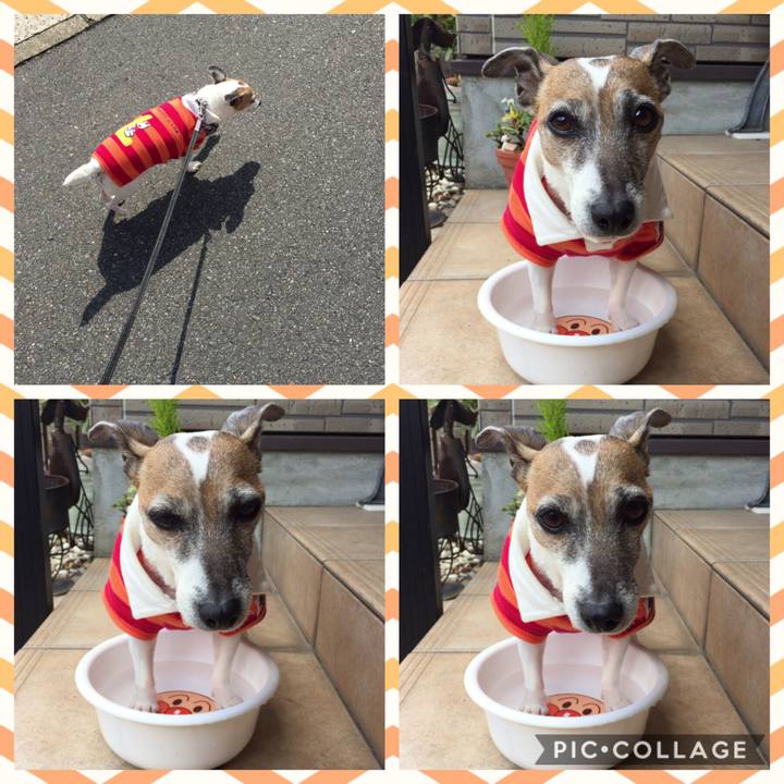 71b1ba59 03e2 4d20 bbbf 7040c468c761