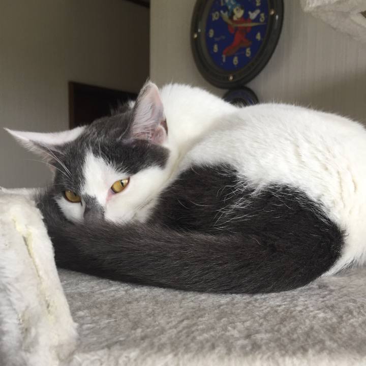 71b26d43 3ea4 438e be83 4d0e42992e1d