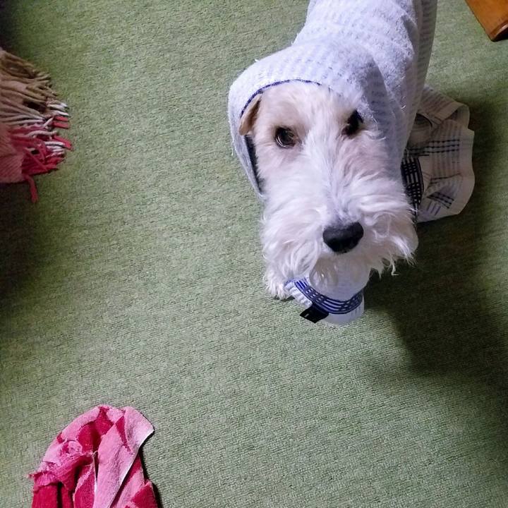 71b28540 7087 4dc0 ba4b 5bb0386fecdf