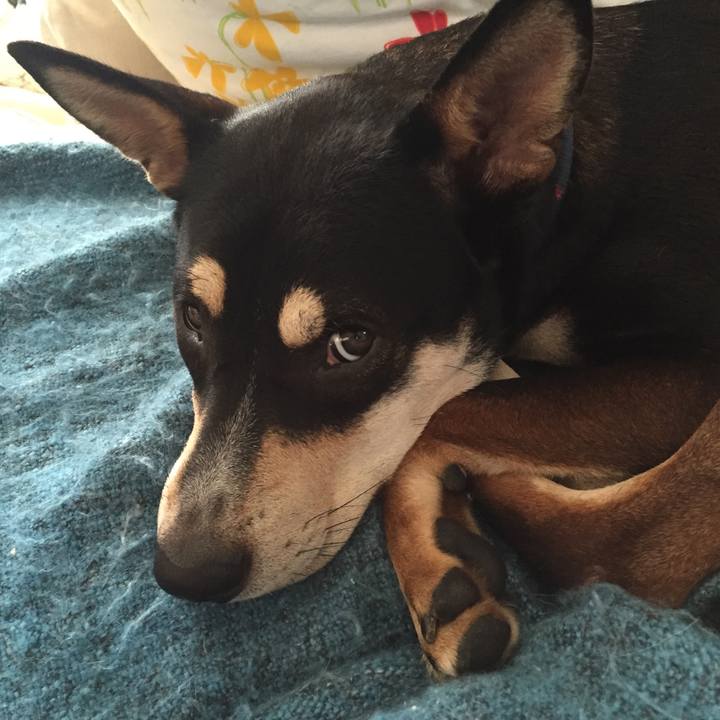 71b36269 a9c6 468b 8ced dfc7b9f0baff