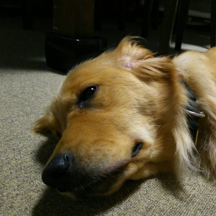 71b3b7a9 c522 4ca8 8132 b07fcb5ec3f4