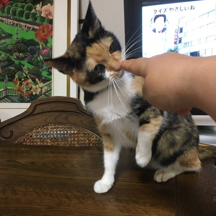 71b4bdb4 9d59 4de4 a976 e347d54a9a92