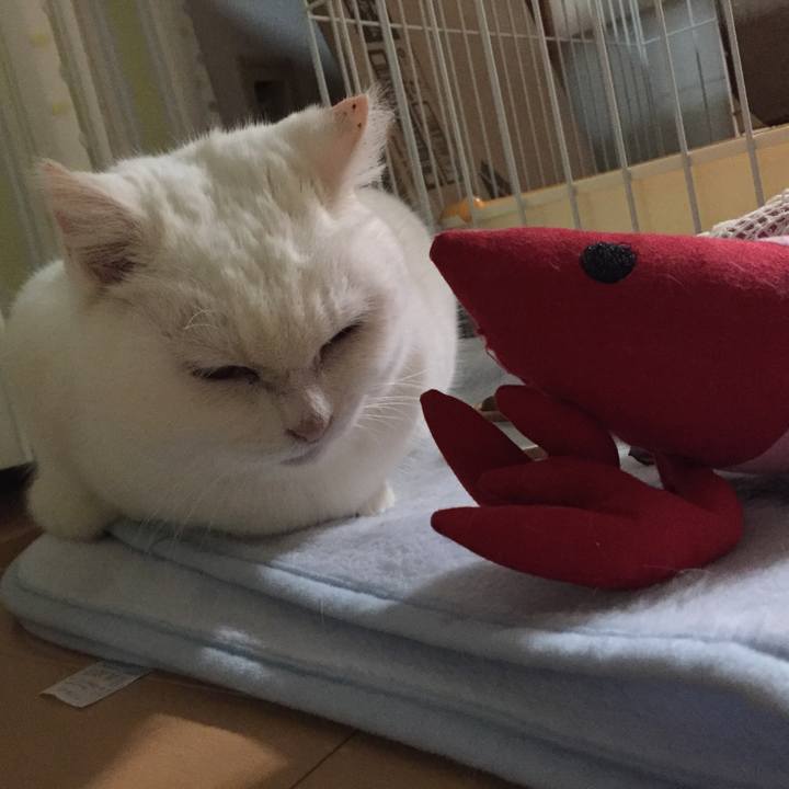 71b4e964 c3bd 44fe af16 29dce89a82f9