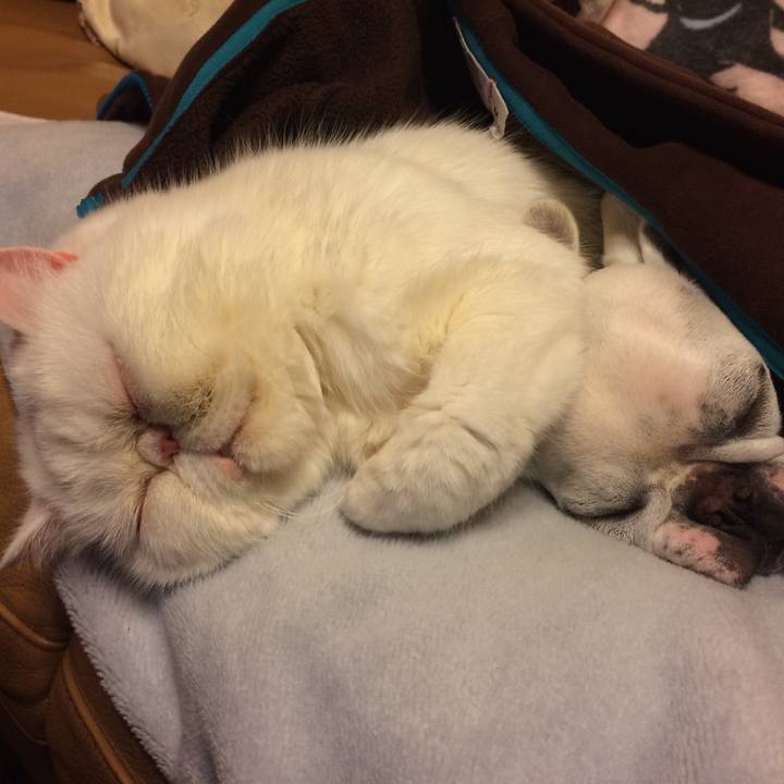 71b589a4 dd79 47a9 b699 220731ec671d