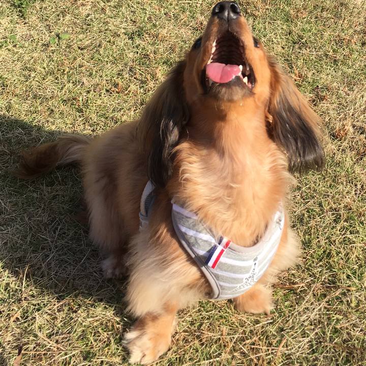 71b58d77 2ecf 4d14 8801 1fbd03fda5d0