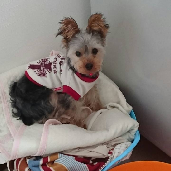 71b5e677 c339 461f 9f7c 2b26e8989542