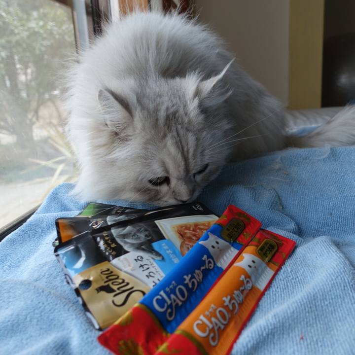 71b62858 3913 404c 9733 b361bc5d9aa0