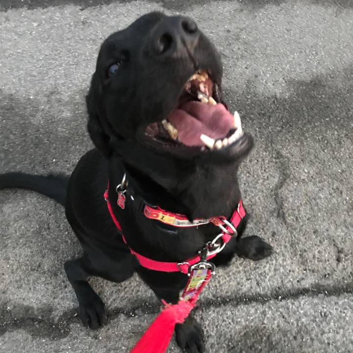 71b86534 e271 43a9 babd eadf6a8b6f3f