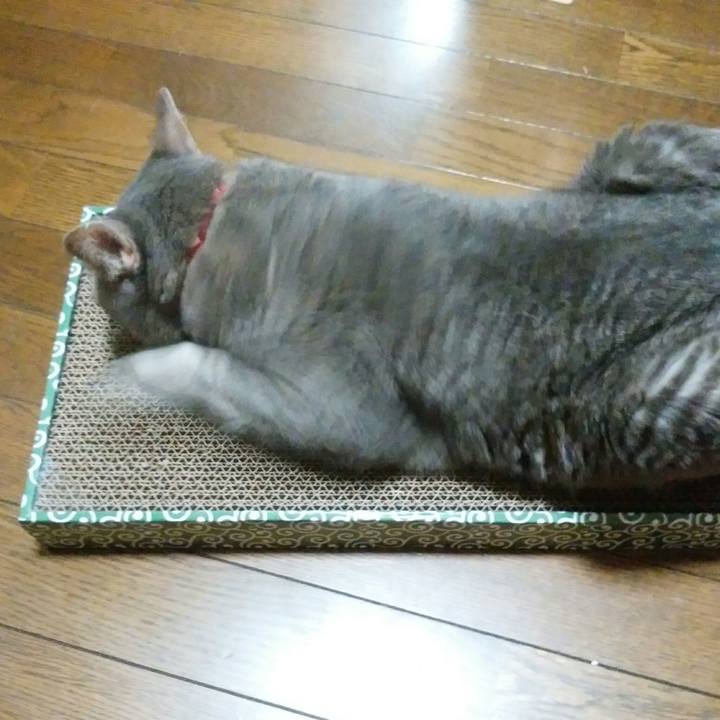 71b86dae ef2e 4d9e a91a d905e00471a1