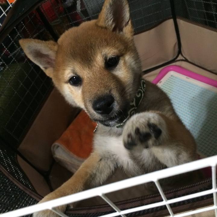 71b966c3 8b36 4f5b bd51 4367fcaba251