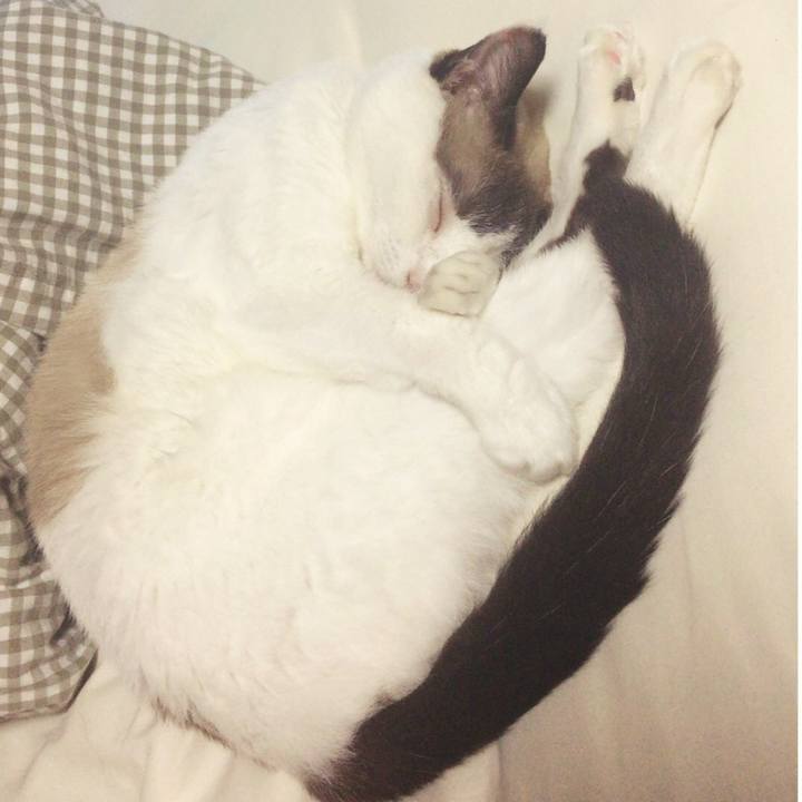 71bad8d4 5048 4798 b479 b1713474cb24