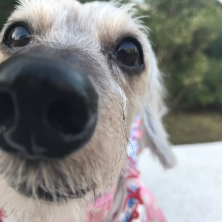 71bb350d 3b44 42f0 8e5b 90e6fcf957df