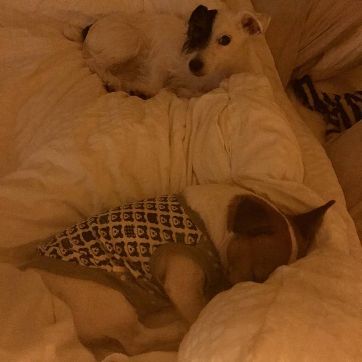 71bc0b40 fc87 43b3 84d4 1a75cf4d5695