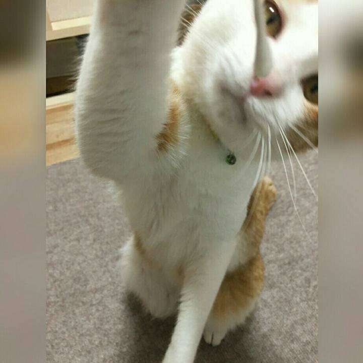 71bc8441 e936 4f0b 91e9 26404a0dfd43