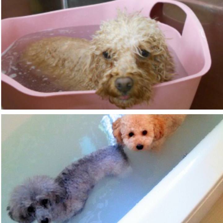 71bd39ca 9507 4a1a 94f6 322ab009279b