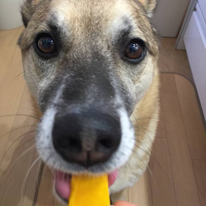 71be9900 b3f5 48ce 8fc0 537eeeee398c