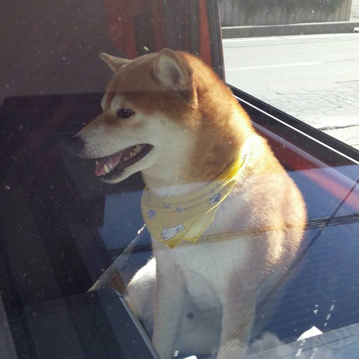 71bef346 b31e 4b9b bb7f 58eea49b649f