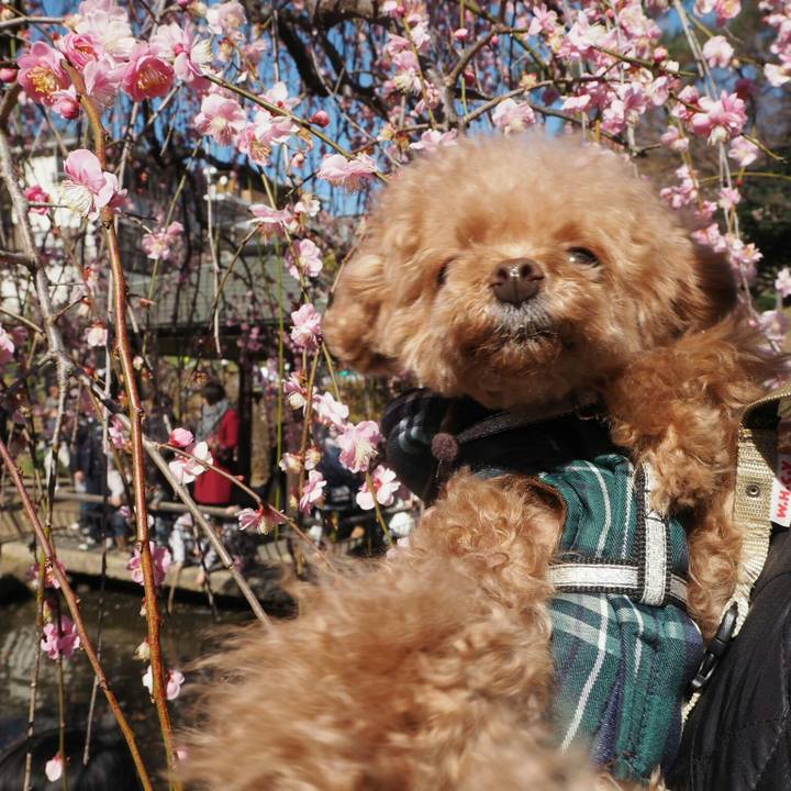 71bef42c 88a1 4369 8a8c 88fc8e56c955