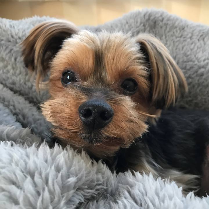 71bf28f3 9f7d 4957 ac53 b34300852580