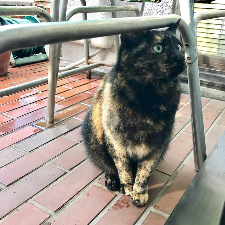 71c00eaa 889d 486c a992 7da7d43fe049