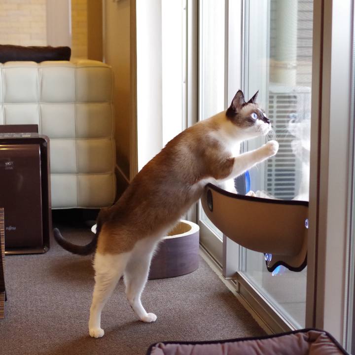 71c01a67 4505 48c1 aaf1 04dfaa266a45