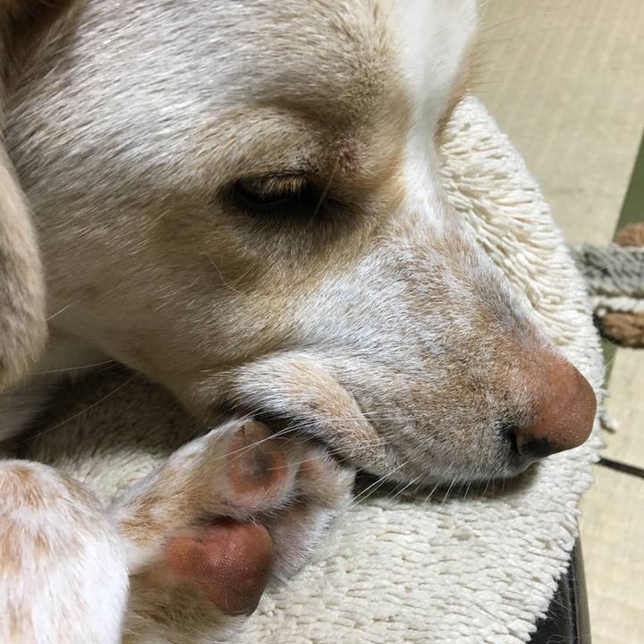 71c0694f cb14 426e 8dd1 07d9db8b5135