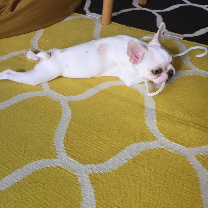 71c13194 64b0 4b6a a8ff 5d204229b635