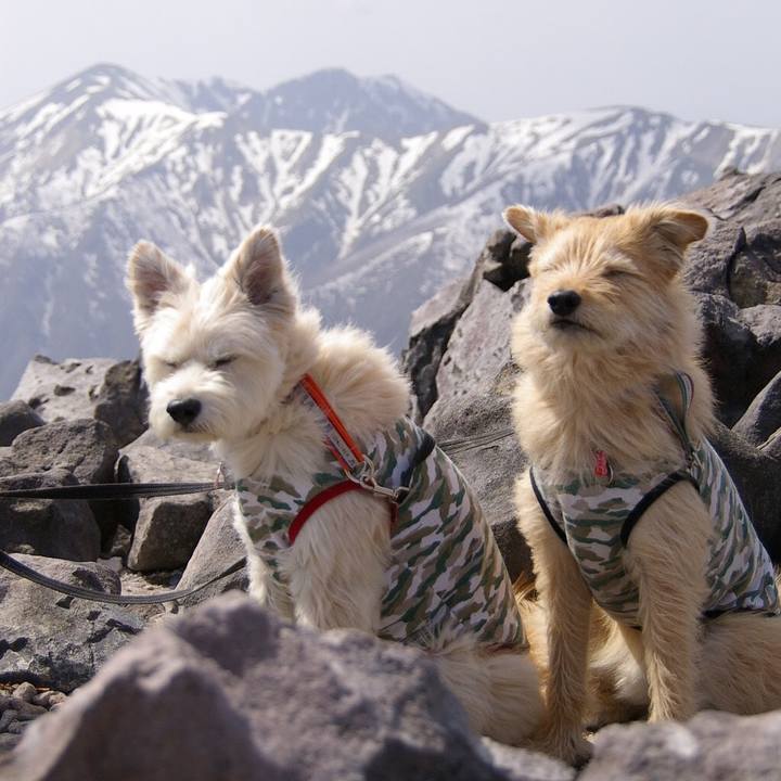 71c211b0 7201 49bb ad30 cab17e0c257c