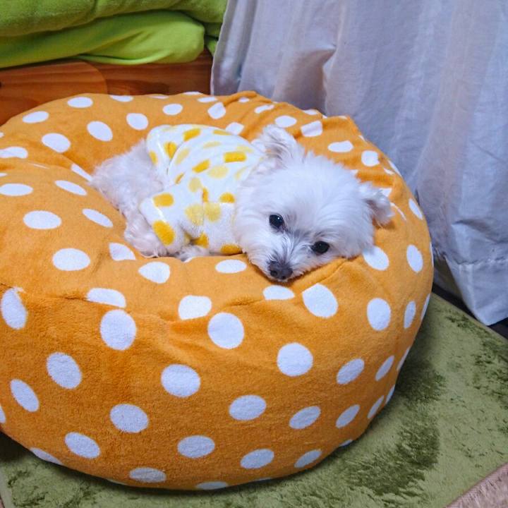 71c21a75 fed6 4e55 a07c abad19184991