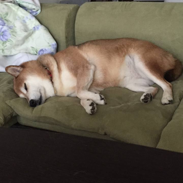 71c24d13 a488 4518 b83b 91a2d676d399