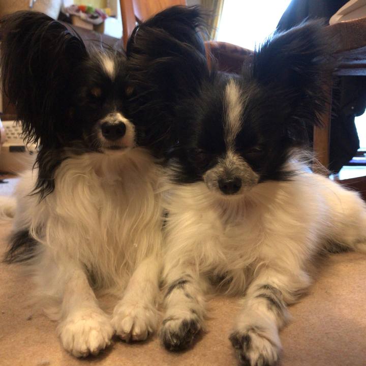 71c26d80 3e70 4526 808f 202d3c2eb6ec