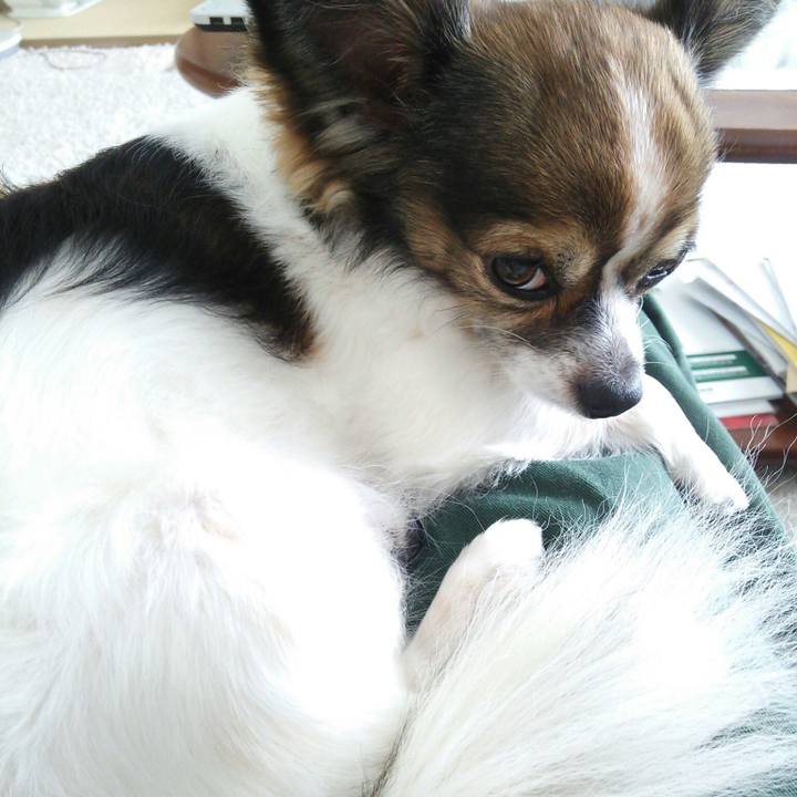 71c274ff 854f 4184 b159 bc02d610d3f5