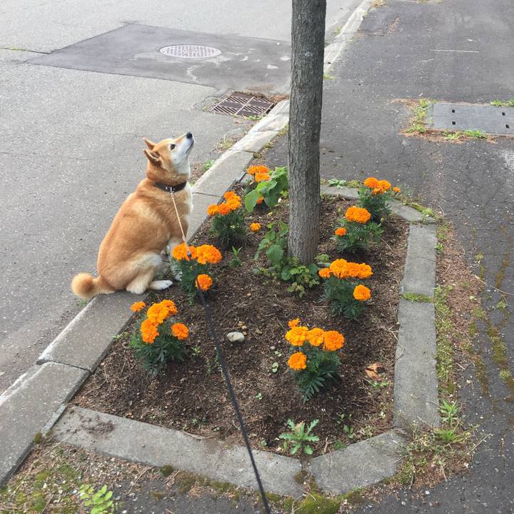 71c35f1e 8f6c 4b95 94eb 58f463a3fb92