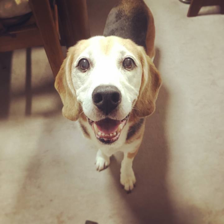 71c39a35 b56d 4728 9ed3 915012a53189