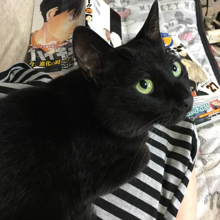 71c3e8f2 3590 4e63 9d54 e9bc7dd1b8ec