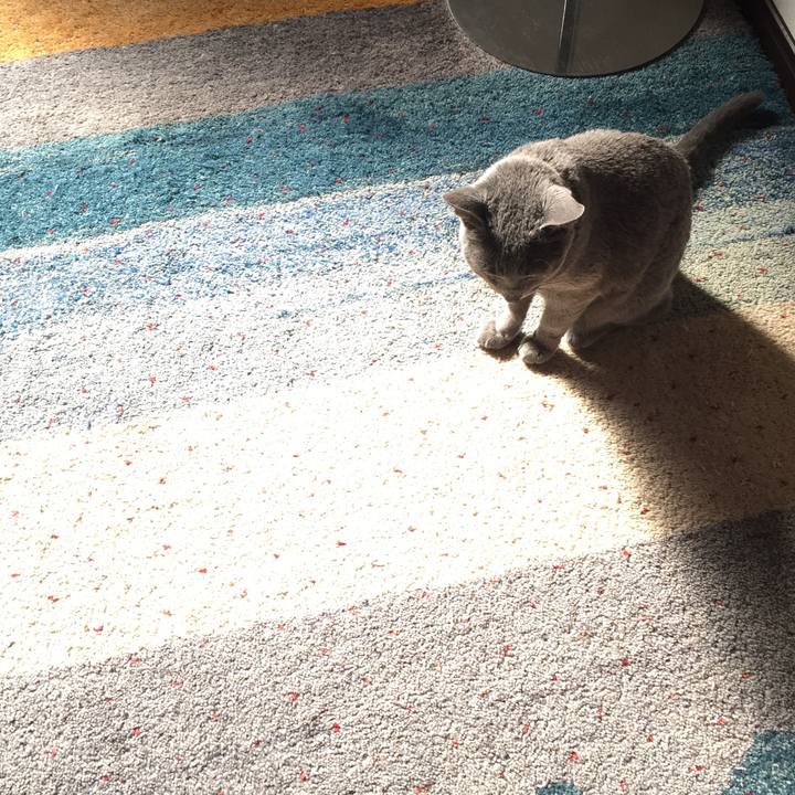 71c42551 6bb1 4f5d aea4 f556edadbc67