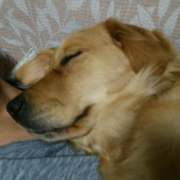 71c462ea c75e 4379 979d 1269af024aa8