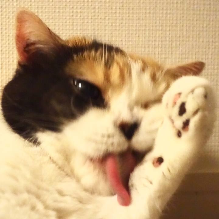 71c5551e bdec 4b86 b2da 4b6b91105a83