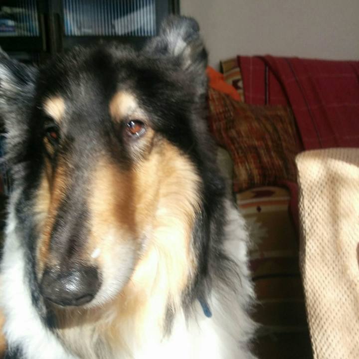 71c5ea36 a17b 4334 bba2 3ac00c68ba26