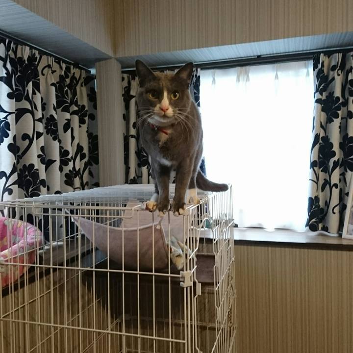 71c6234e 8b41 47c7 a9e6 e928addd0504