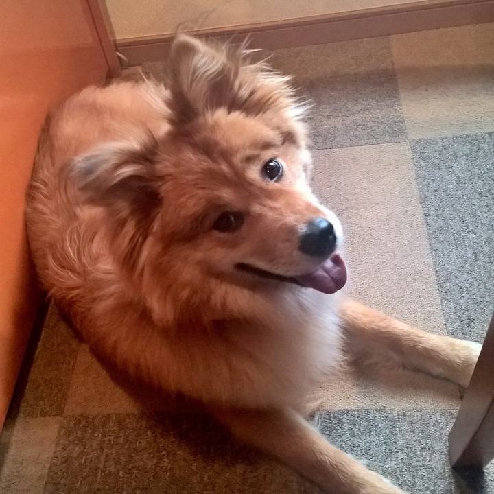 71c6eba3 4dc8 4dec 9275 af35edf0f212