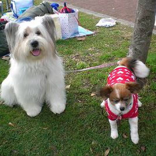 71c707e7 169b 45b2 9dd7 f590ba4f0ff0